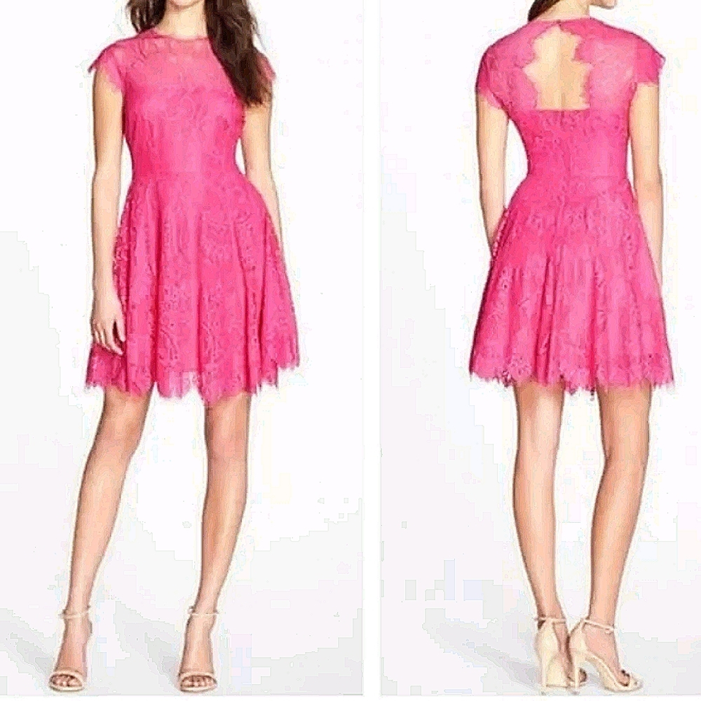 BB Dakota Pink Open Back Lace Fit + Flare Dress